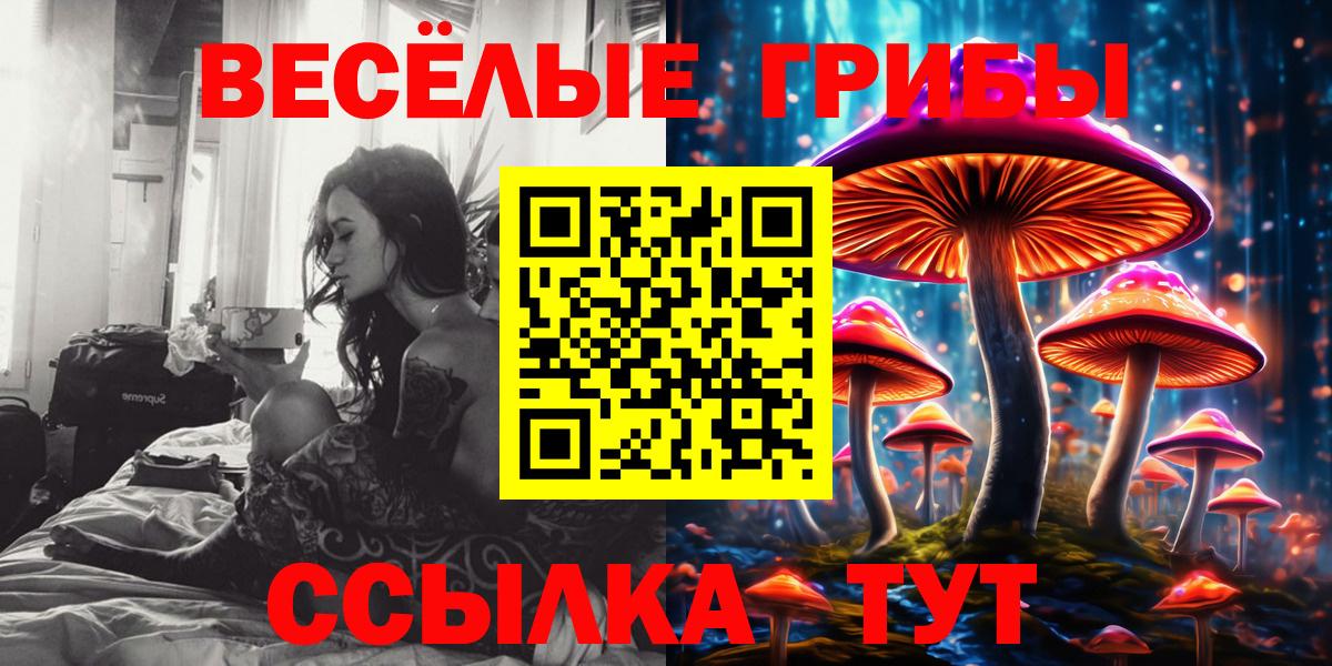 Усть-Илимск  Псилоцибиновые грибы Psilocybine cubensis  Вход с VPN 