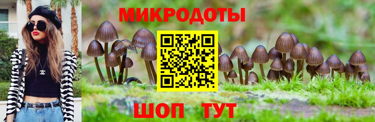 Галлюциногенные грибы мухоморы Усть-Илимск